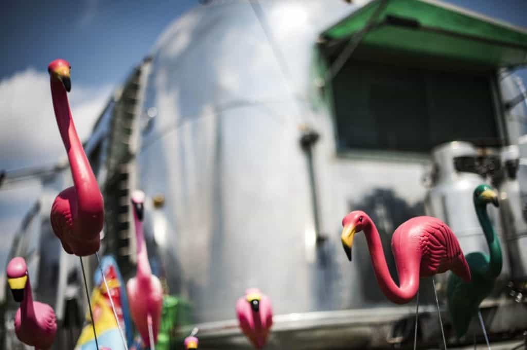 pink flamingos in rv parks