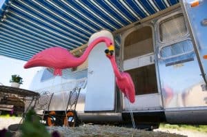 what do flamingos mean in an rv park