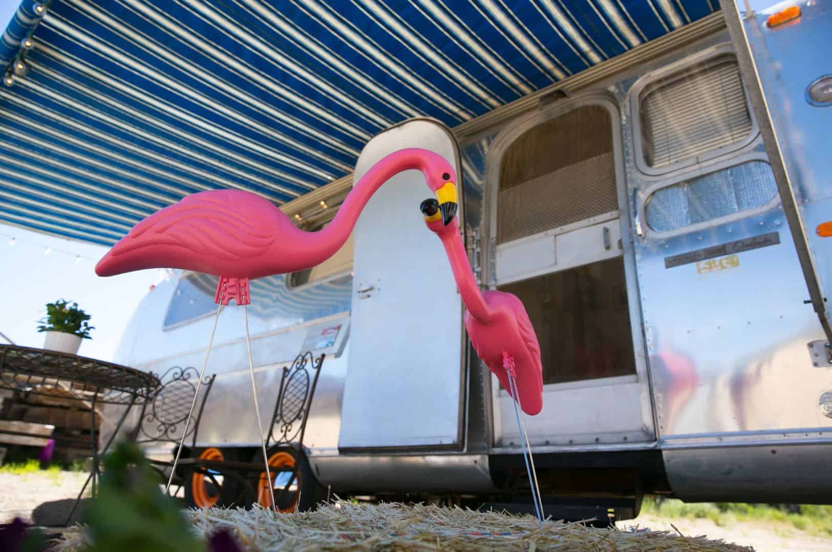 what do flamingos mean in an rv park